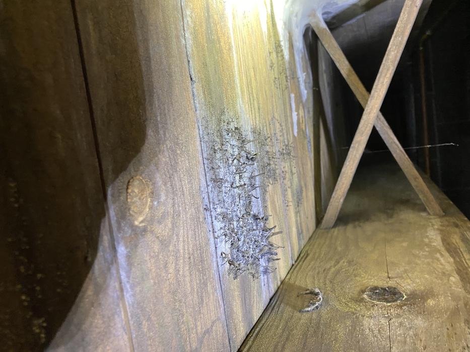 True North Restoration of SE PA - Royersford, PA