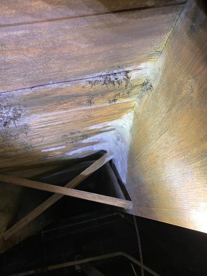 True North Restoration of SE PA - Royersford, PA