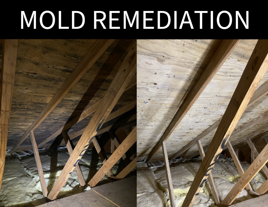 True North Restoration of SE PA - Royersford, PA