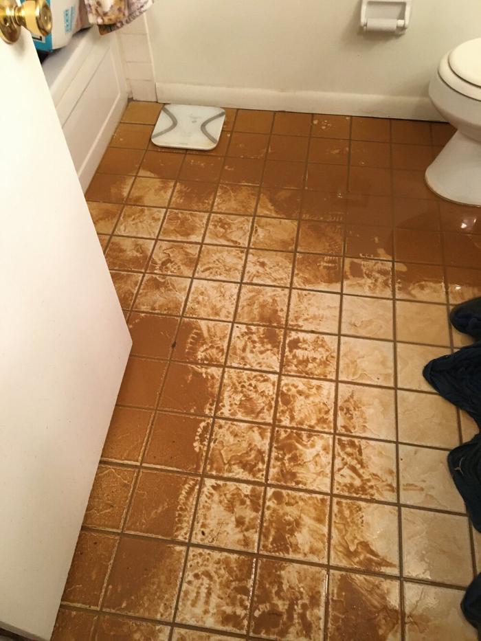 True North Restoration of SE PA - Royersford, PA