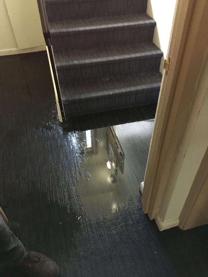 True North Restoration of SE PA - Royersford, PA