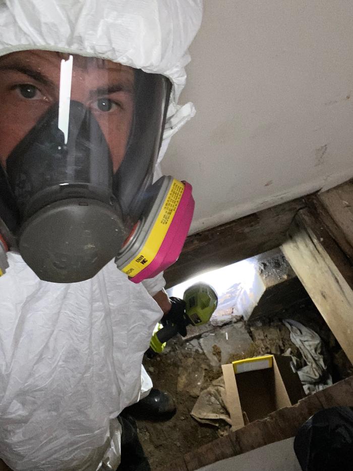 True North Restoration of SE PA - Royersford, PA