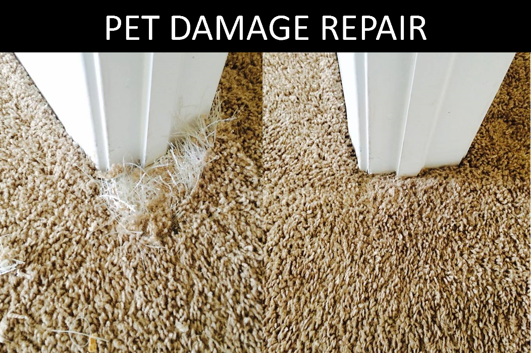 True North Restoration of SE PA - Royersford, PA