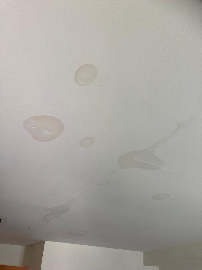 True North Restoration of SE PA - Royersford, PA