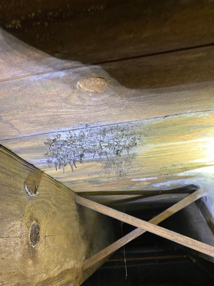 True North Restoration of SE PA - Royersford, PA