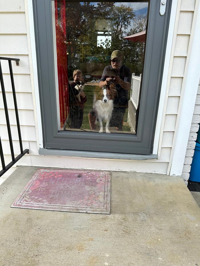 Dog Guard of the Valley - Staunton, VA