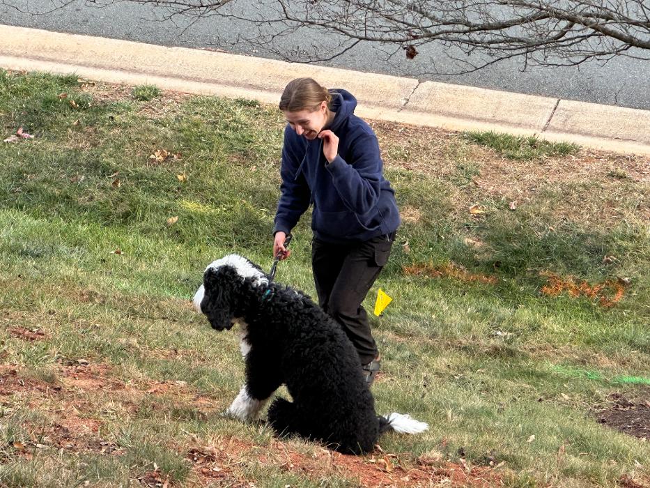 Dog Guard of the Valley - Staunton, VA