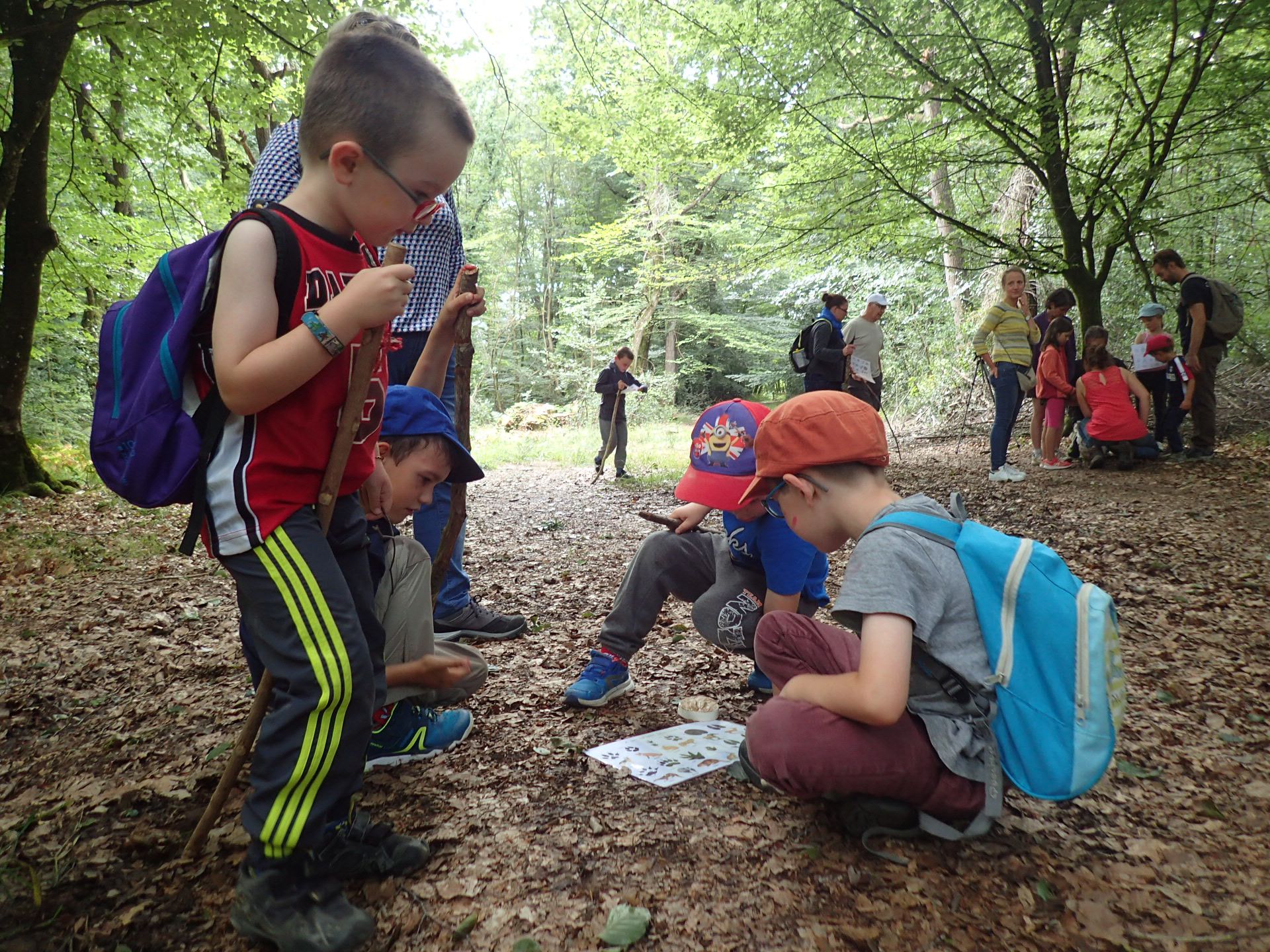 galerie image galerie image