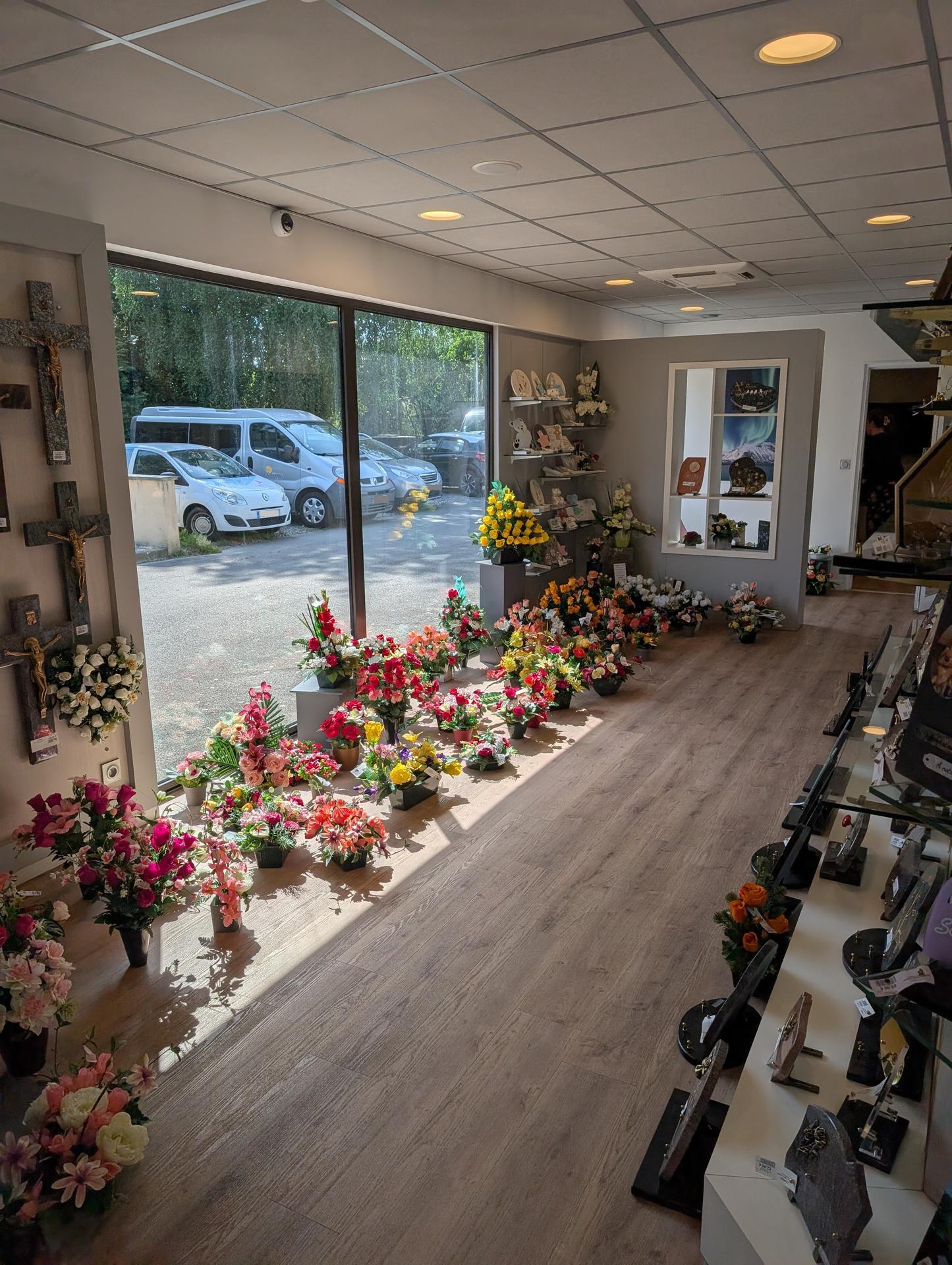 galerie image