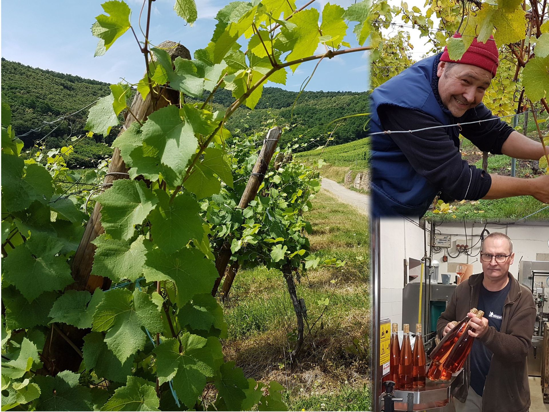 galerie image galerie image