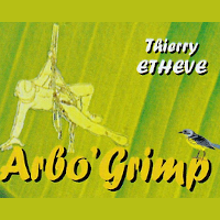 Arbo'Grimp Expert