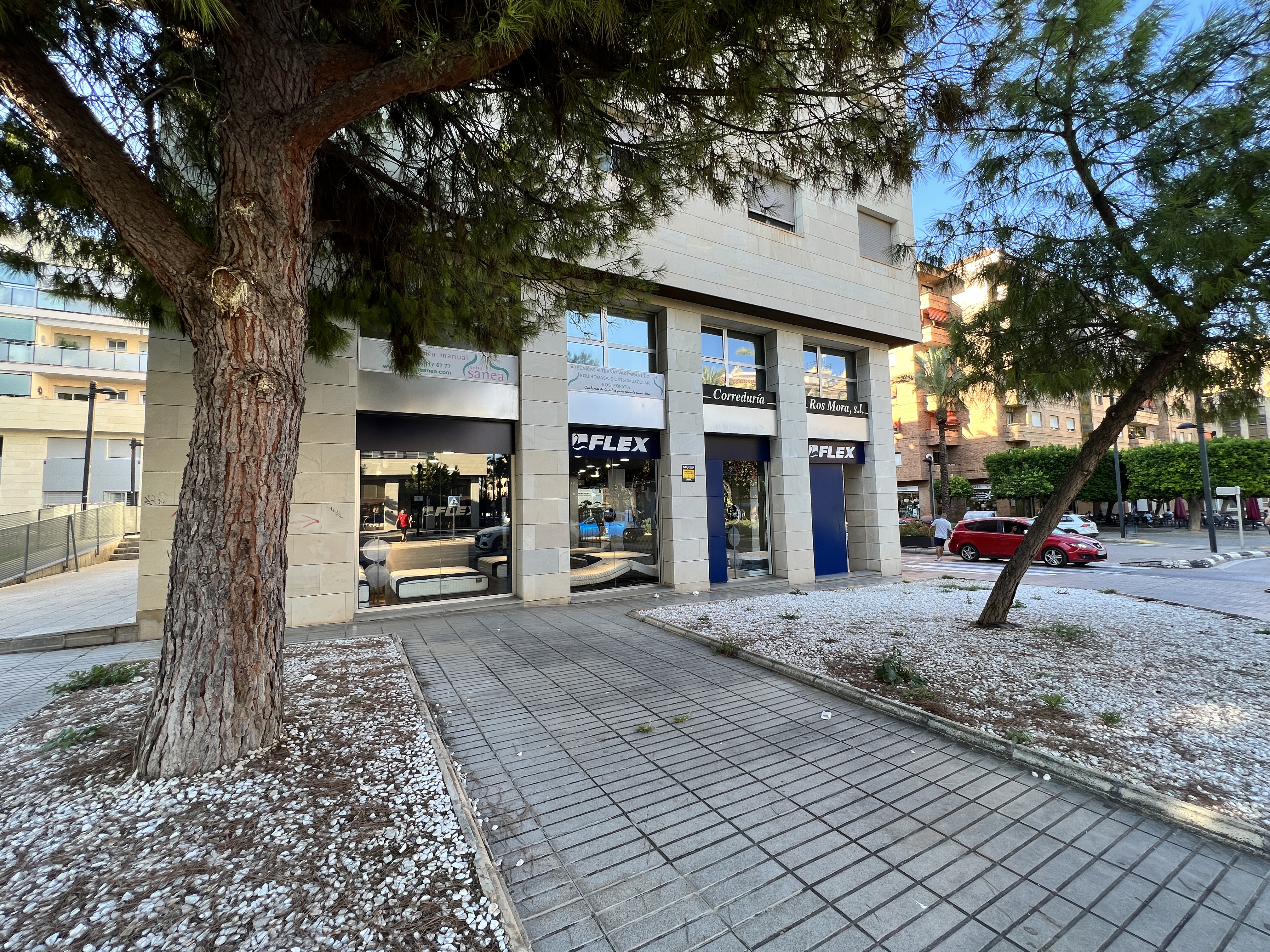 Galería en miniatura