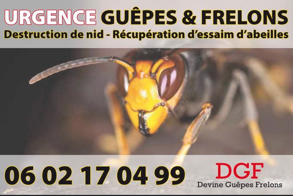 Abeille45.DGF service pour animaux