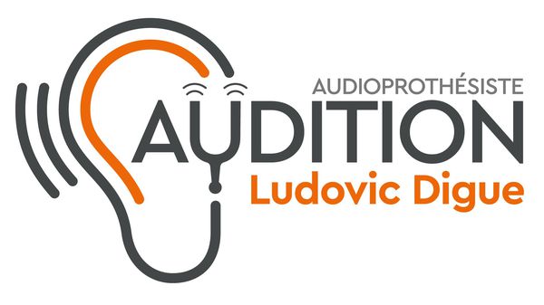 Audition Ludovic Digue médecin généraliste