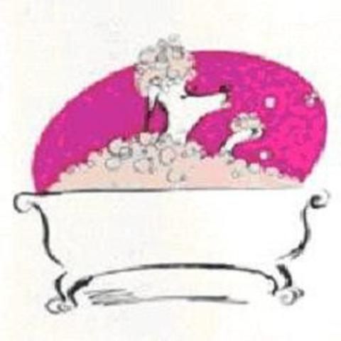 Boule De Poils Toilettage