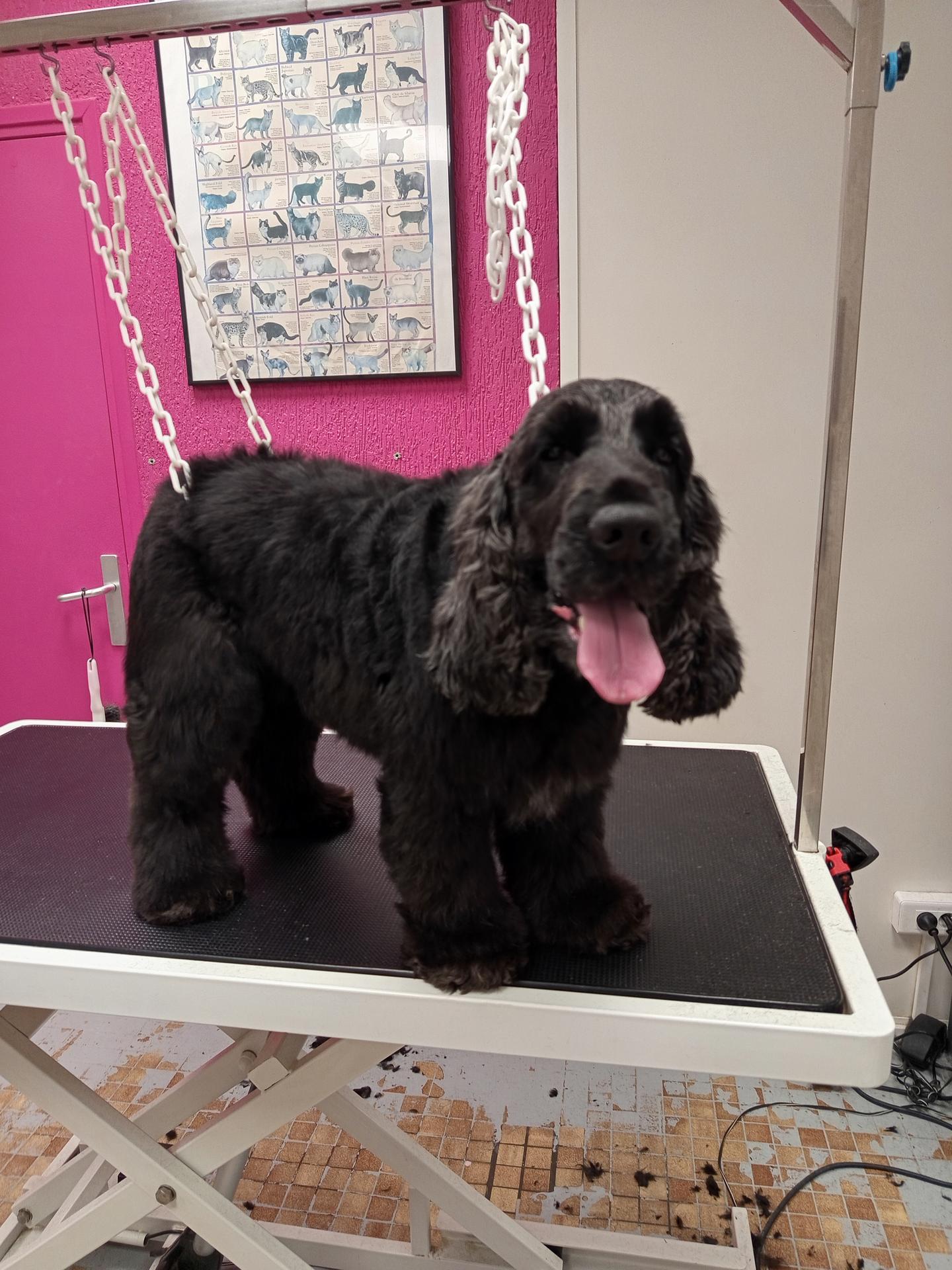 galerie image galerie image