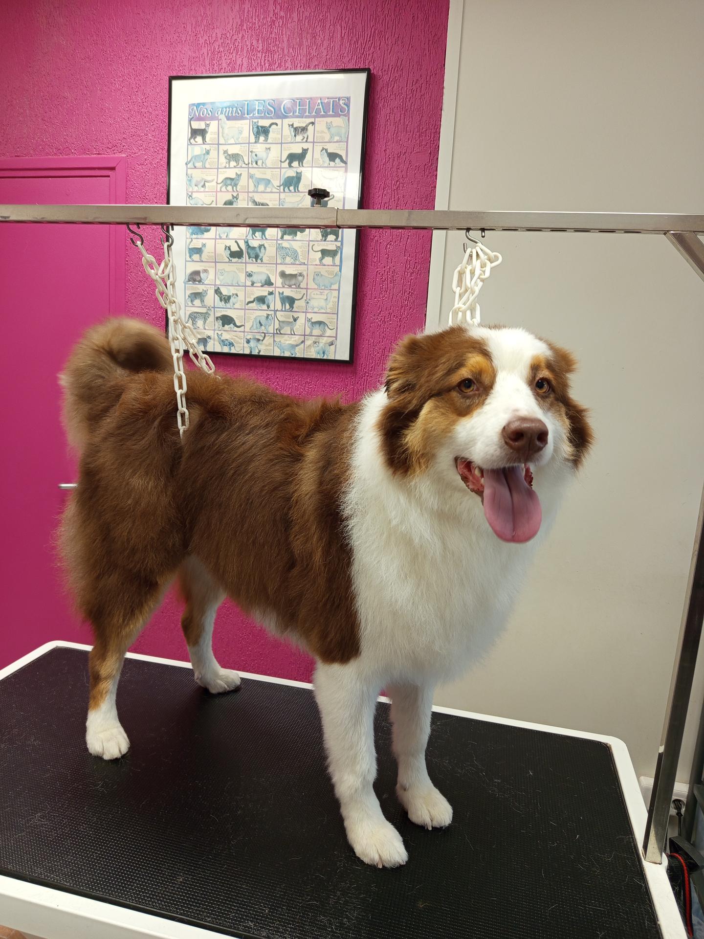 galerie image galerie image