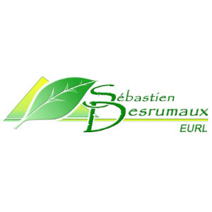 Desrumaux Sébastien Expert