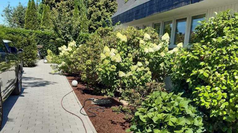 Tas-Gartenbau, Geldernsche Straße in Krefeld