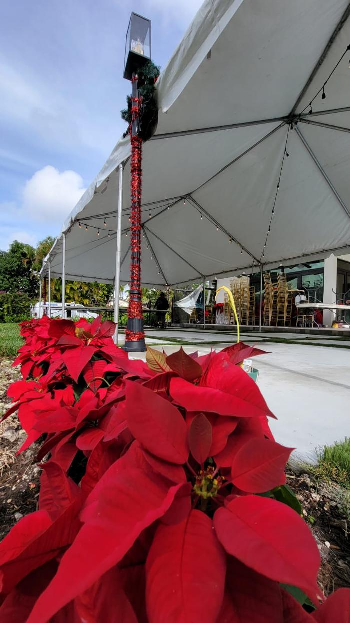 Nicky party rental - Miami, FL