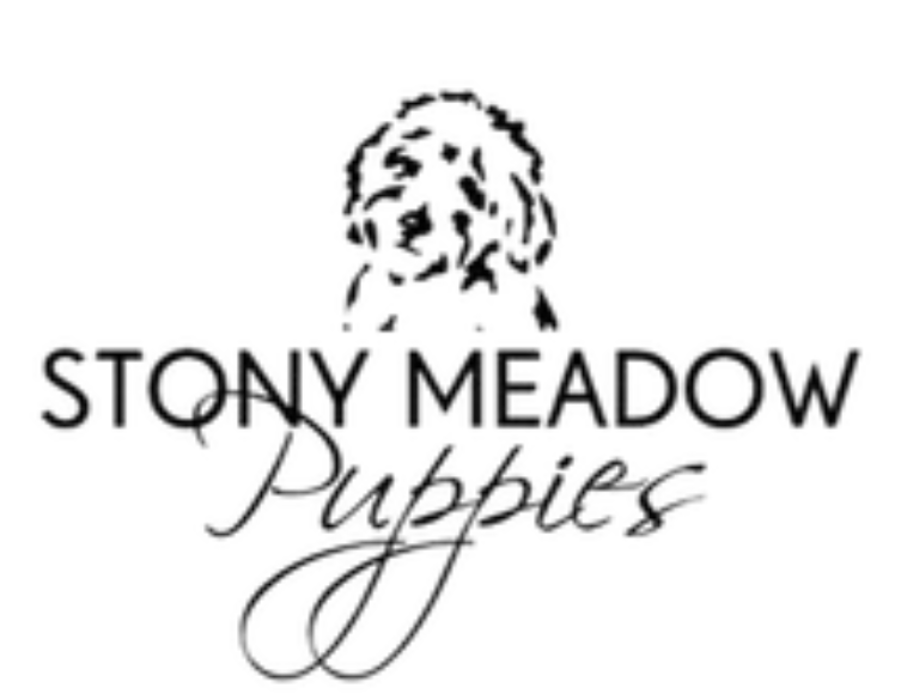 Stony Meadow Puppies - Mohnton, PA