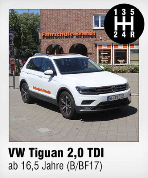 Galerie-Thumbnail