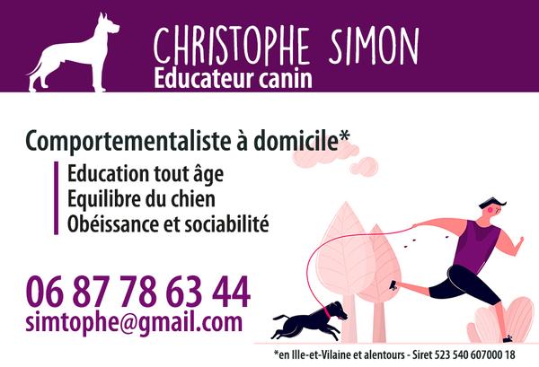 Simon dressage animal