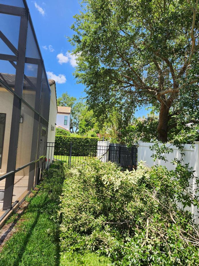 Oakleaf Tree Services - Oviedo, FL