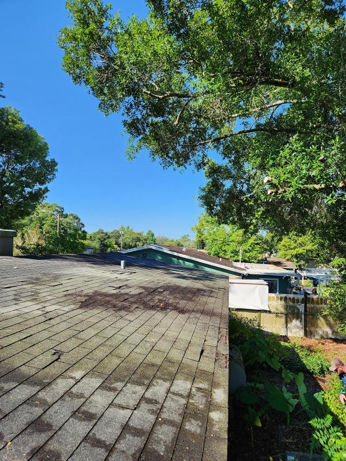 Oakleaf Tree Services - Oviedo, FL