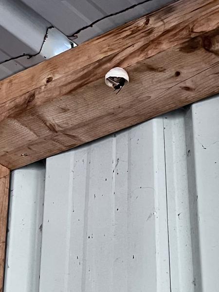 Deschamps Hervé service pour animaux