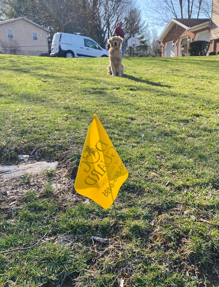 Dog Guard of Maryland Image