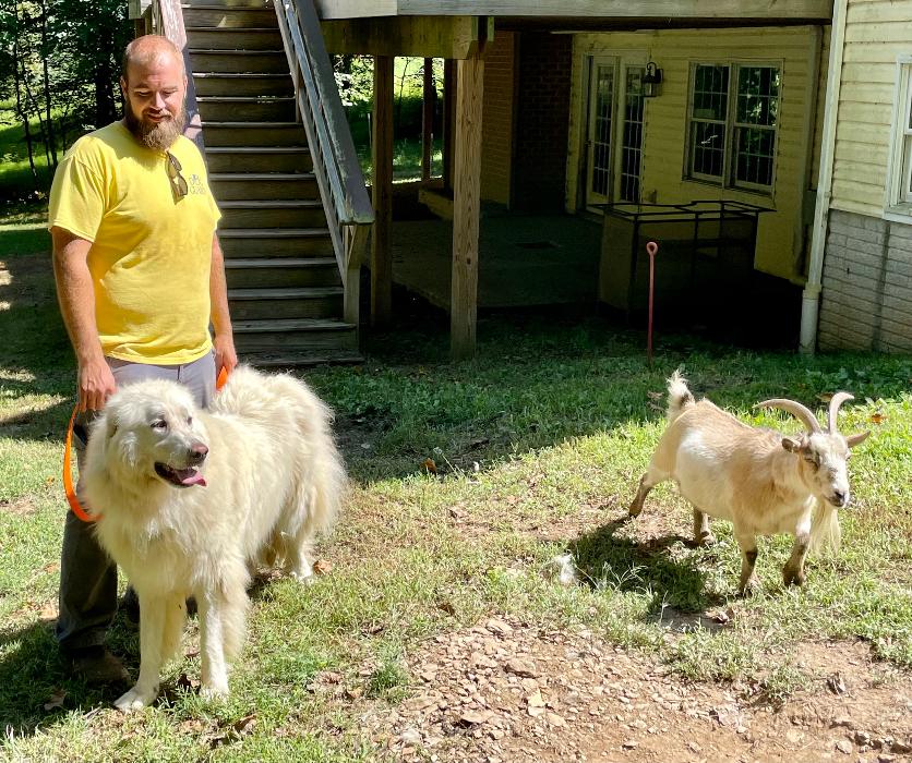 Dog Guard of Maryland Image