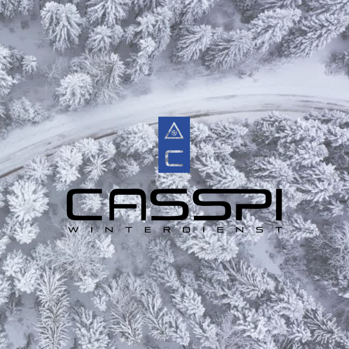 CASSPI GmbH | Winterdienst & Sandreinigung, Konstantinstraße in Mönchengladbach