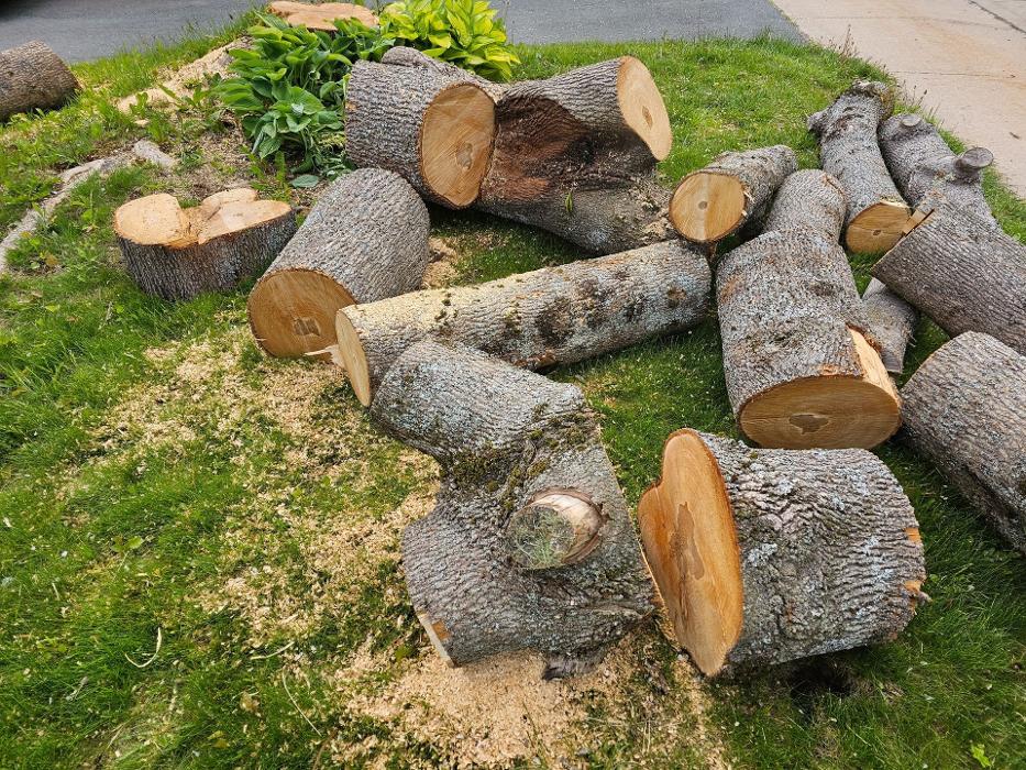 Southside Land and Tree Service - Gastonia, NC