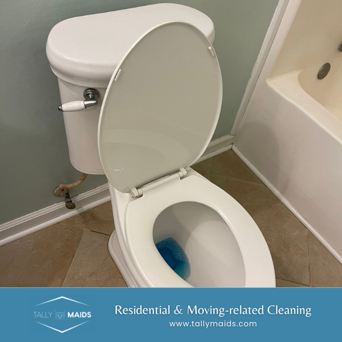 Tally Maids - Tallahassee, FL