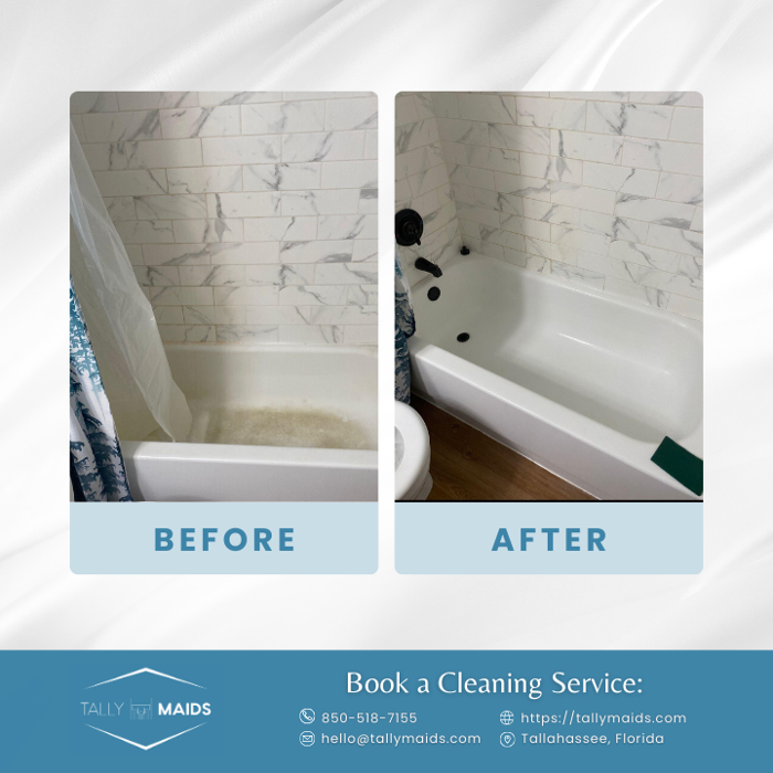 Tally Maids - Tallahassee, FL