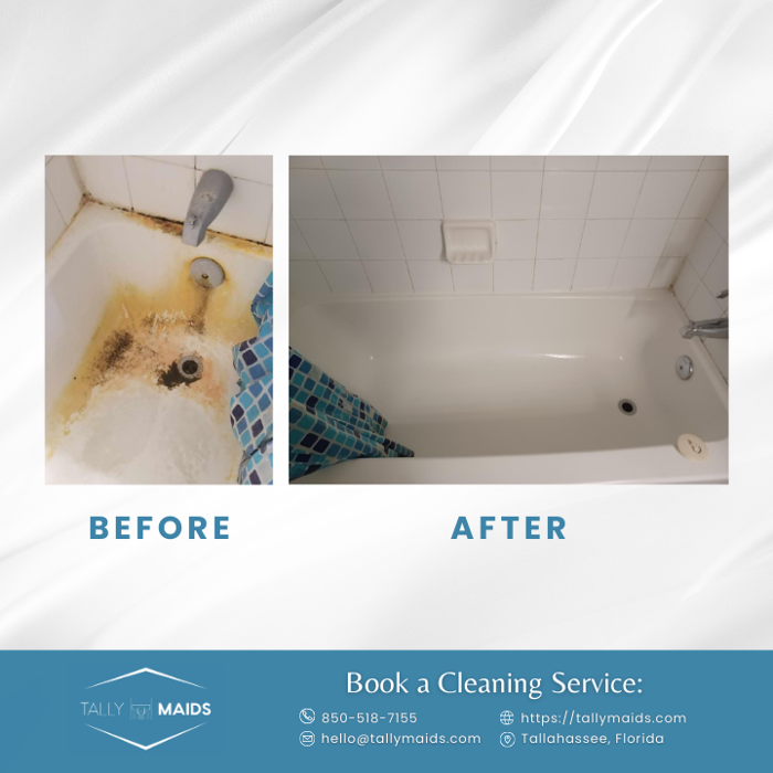 Tally Maids - Tallahassee, FL