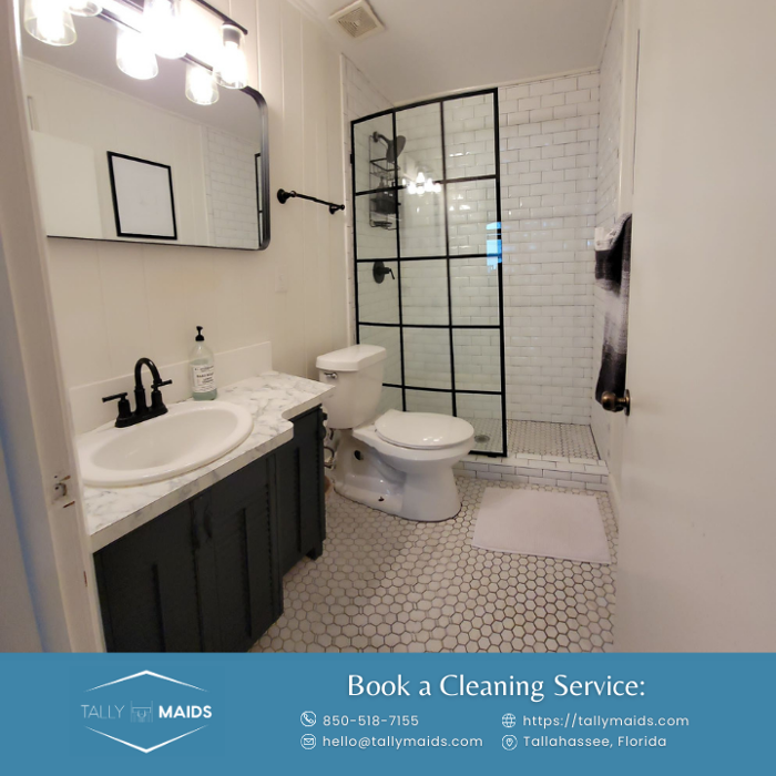 Tally Maids - Tallahassee, FL