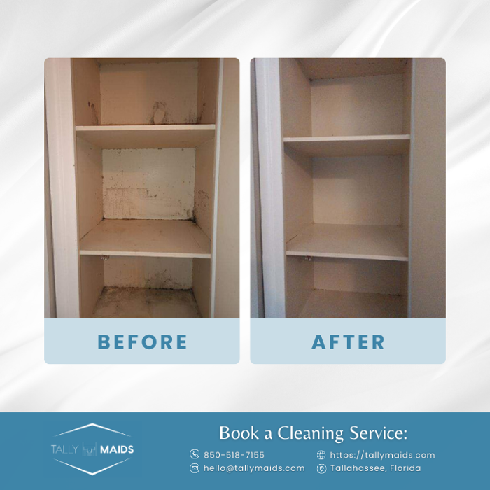 Tally Maids - Tallahassee, FL