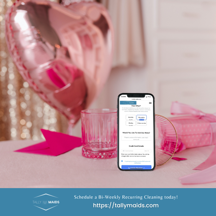 Tally Maids - Tallahassee, FL