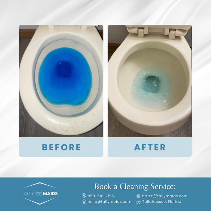 Tally Maids - Tallahassee, FL