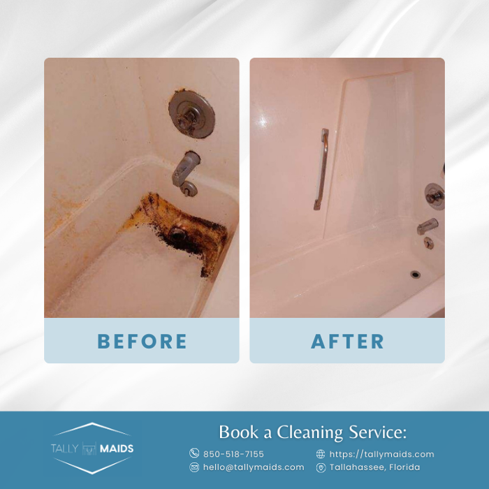 Tally Maids - Tallahassee, FL