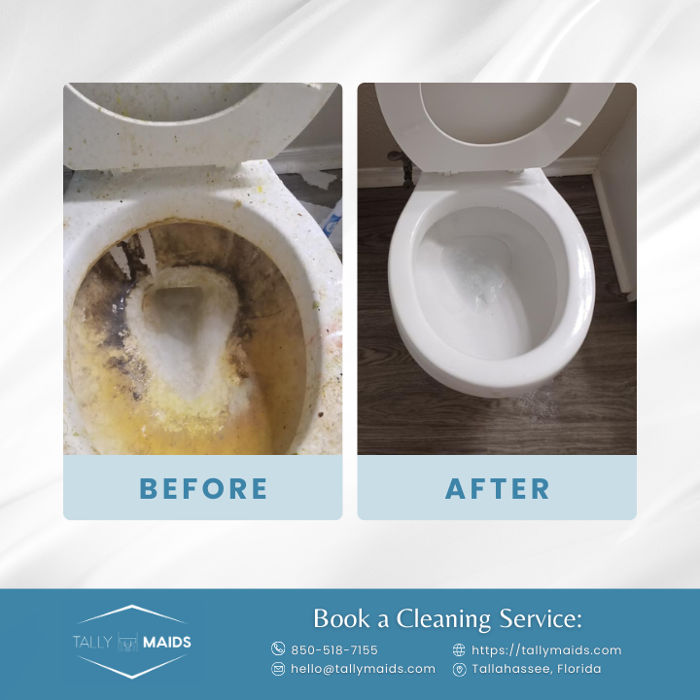 Tally Maids - Tallahassee, FL