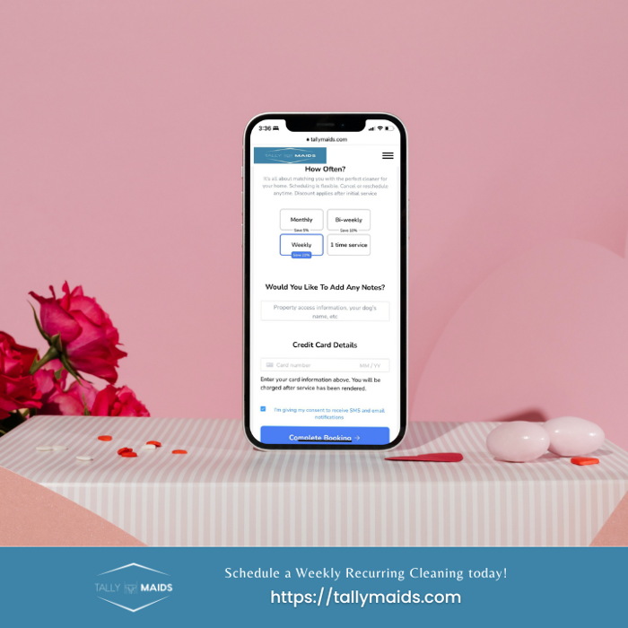 Tally Maids - Tallahassee, FL