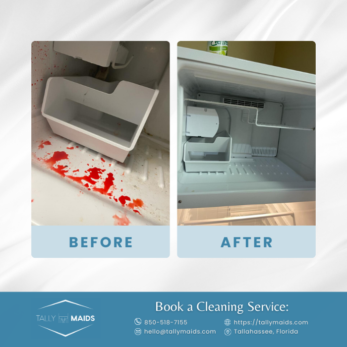 Tally Maids - Tallahassee, FL