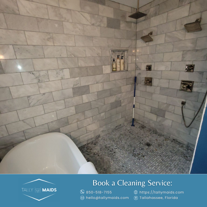 Tally Maids - Tallahassee, FL