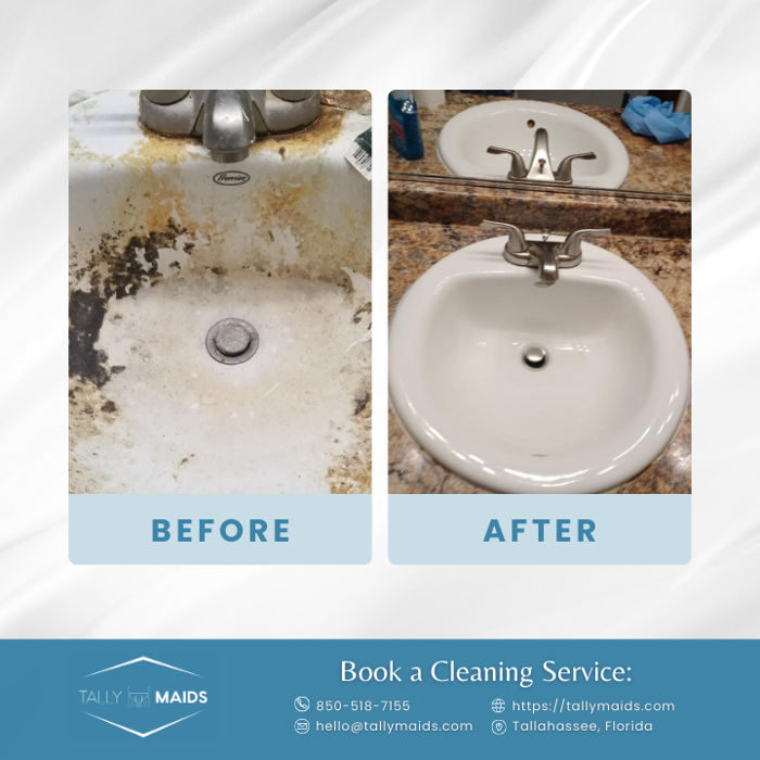 Tally Maids - Tallahassee, FL