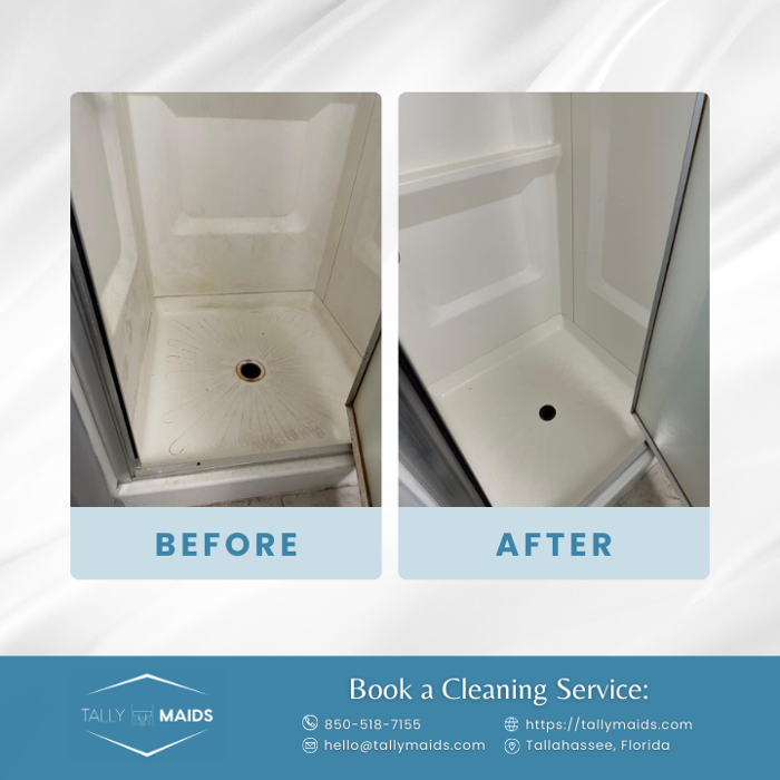 Tally Maids - Tallahassee, FL