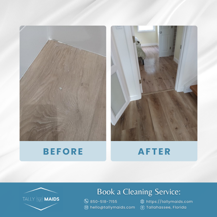 Tally Maids - Tallahassee, FL