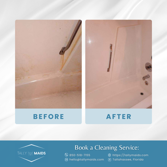 Tally Maids - Tallahassee, FL